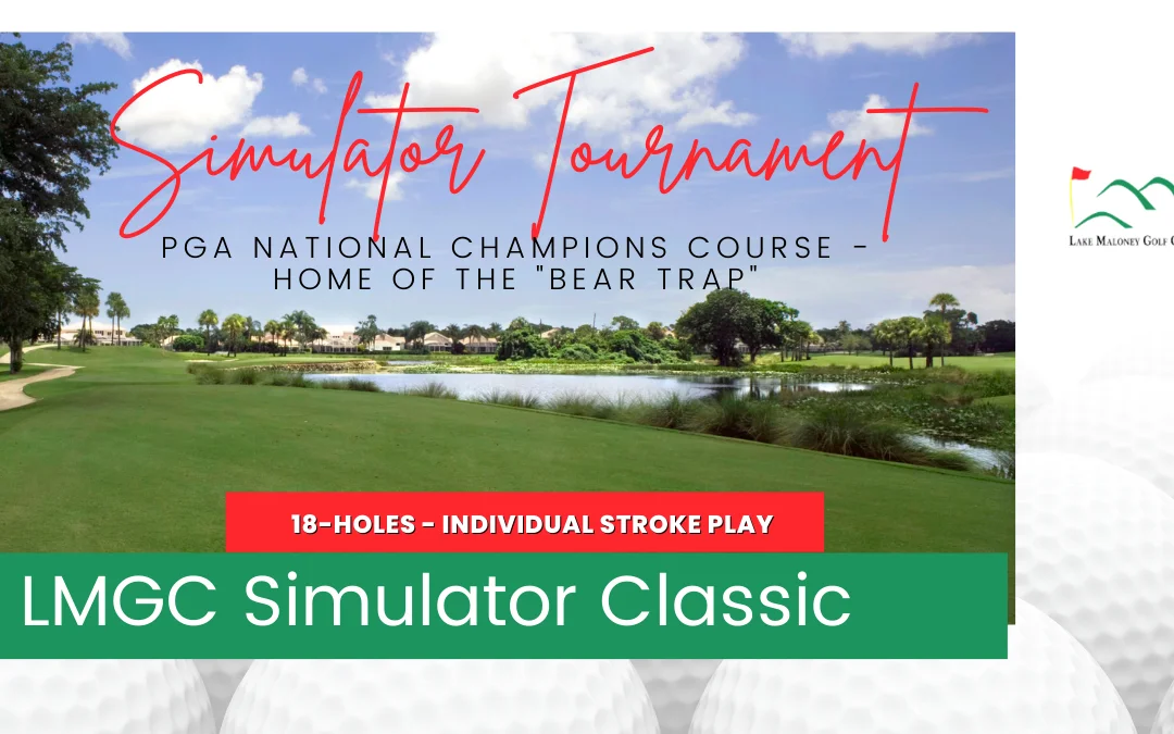 LMGC Simulator Classic